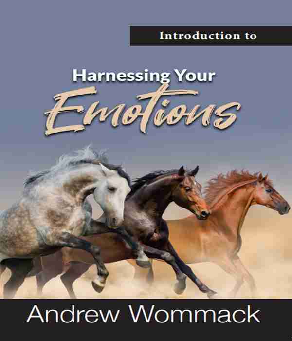 Harnessing Your Emotions-BOOKLET
